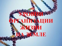 УРОВНИ ОРГАНИЗАЦИИ ЖИЗНИ НА ЗЕМЛЕ