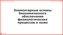 Элементарные о сновы биохимического обеспечения физиологических процессов в коже