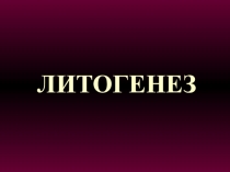 ЛИТОГЕНЕЗ