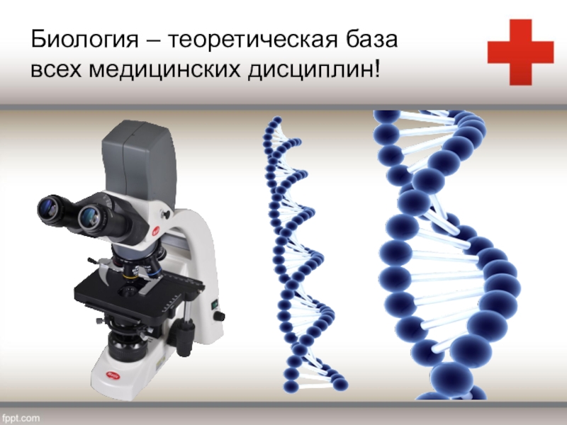 Биология теоретическая наука. Теоретическая биология. Теоретические науки биологии.