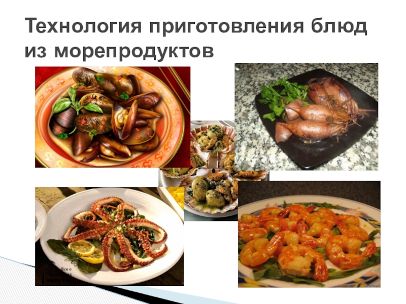 Морепродукты презентация по технологии 6 класс