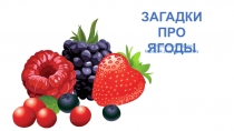 ЗАГАДКИ
ПРО ЯГОДЫ
Ольга Комиссарова
https://vk.com/logopyatochky