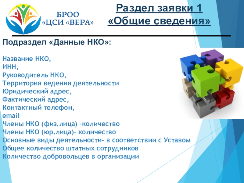 Территория нко. Название НКО. Название НКО И название проекта. Название НКО И название проекта презентация образец.