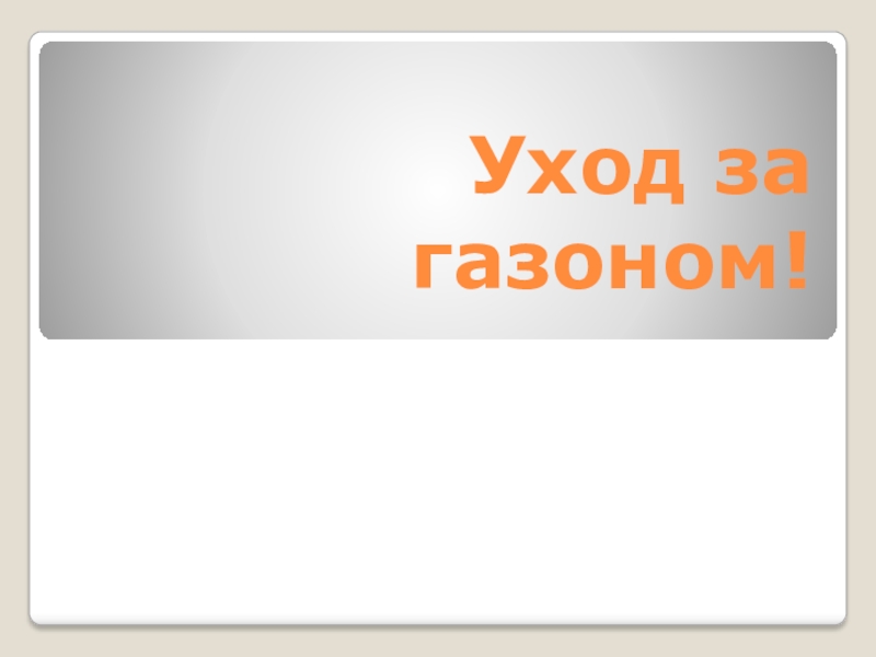 Презентация Уход за газоном!