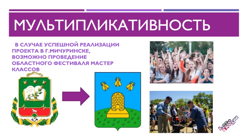 мультипликативность	В случае успешной реализации проекта в г.Мичуринске, возможно проведение областного фестиваля мастер классов