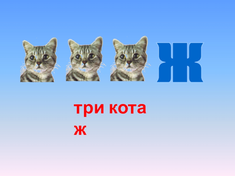 3 кота ж. Три кота картинки. Разгадать три котёнка ж. Три котёнка кто тебя сильнее. Три кот в ж ж.