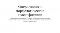 Микроскопия и морфологические классификации