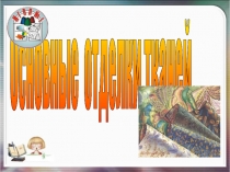 Основные отделки тканей