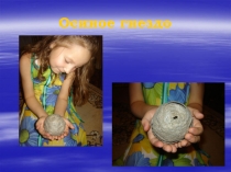 Осиное гнездо
