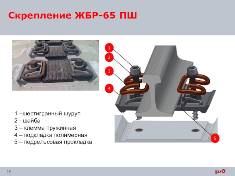 Типы рельсов рельсовые скрепления. Скрепление ЖБР-65пшм комплект. Комплект скрепления ЖБР-65ш. Рельсовое скрепление ЖБР-65ш. Комплект скрепления ЖБР-65.