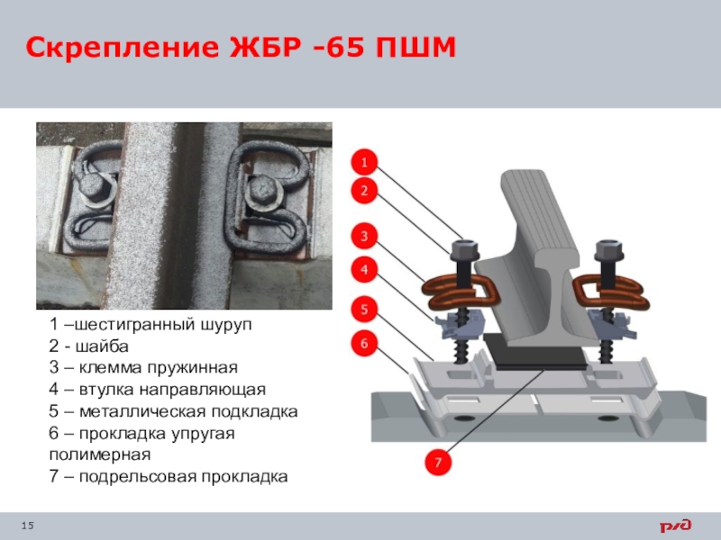 Смена скреплений. ЖБР-65пшм. Бесподкладочное пружинное скрепление ЖБР-65. Рельсовое скрепление ЖБР-65пш. Скрепление ЖБР-65пшм.