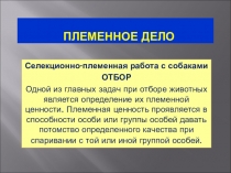 ПЛЕМЕННОЕ ДЕЛО