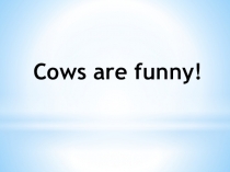 Cows are funny!