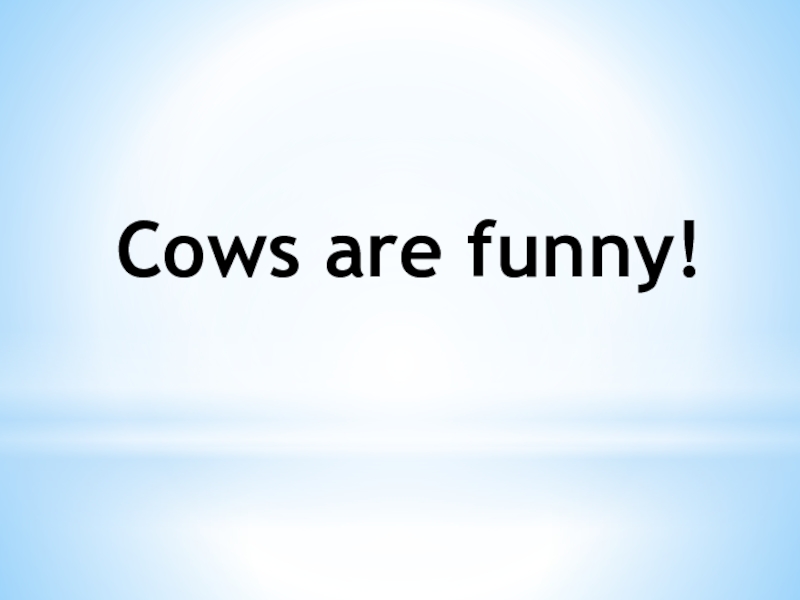 Cows are funny!