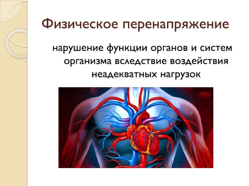 Влияние физической нагрузки на сердечно сосудистую систему презентация