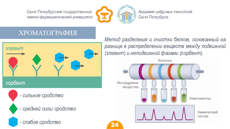 Санкт петербургская химико фармацевтическая