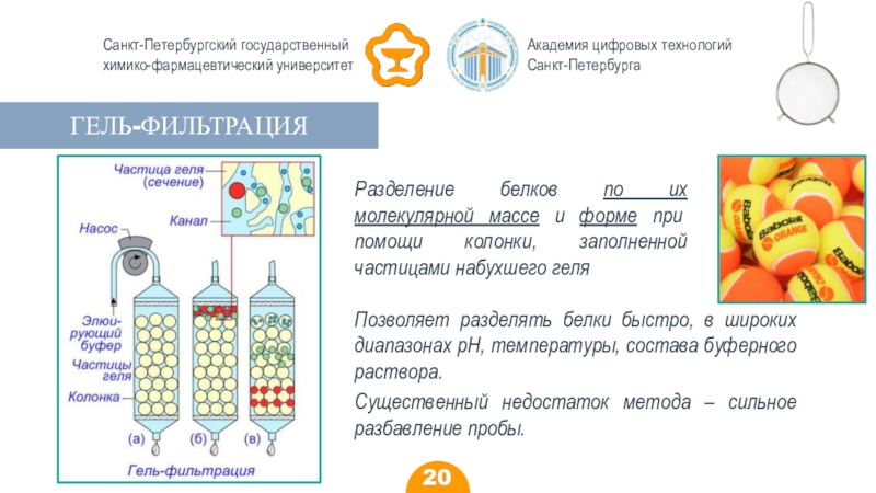 Петербургского государственного химико фармацевтического университета. Химико-фармацевтический университет. СПБ государственный химико-фармацевтический университет. СПБ химико фармацевтический университет логотип. Бизнес план презентация Фармация.