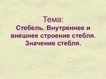 Тема: Стебель. Внутреннее и внешнее строение стебля. Значение стебля