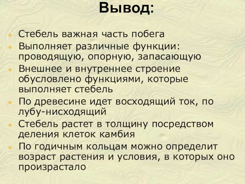 Значение стебля. Вывод про стебель. Какие функции выполняет стебель. Стебель может выполнять запасающую функцию. Стебель выполняет следующие функции.