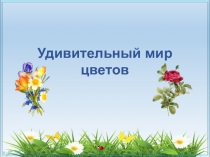 Удивительный мир цветов