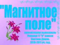 Магнитное
поле