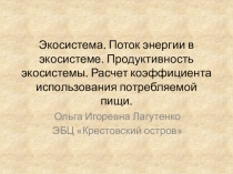 Экосистема. Поток энергии в экосистеме. Продуктивность экосистемы. Расчет