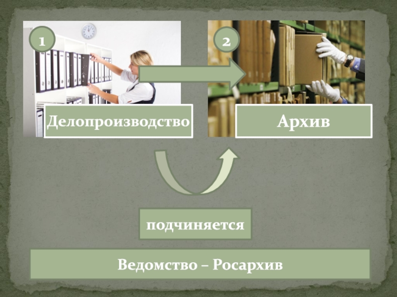 Основные термины архивного дела. Подчиненность Росархива. Росархив картинки для презентации. Какие архивы подчиняются Росархиву. Федеральному архивному агентству непосредственно подчиняются.