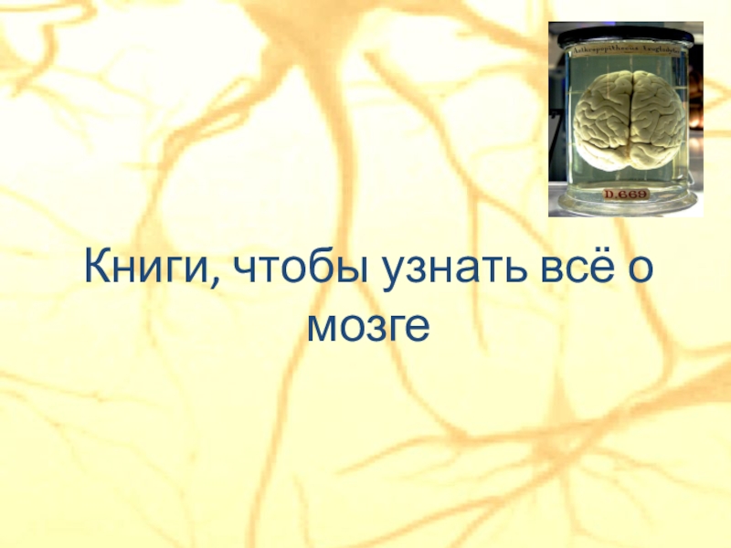 Книги, чтобы узнать всё о мозге