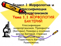 Раздел 1 Морфология и классификация микроорганизмов Тема 1.1 МОРФОЛОГИЯ БАКТЕРИЙ