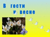 В г о с т и
к в е с н е