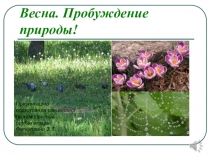 Весна. Пробуждение природы!