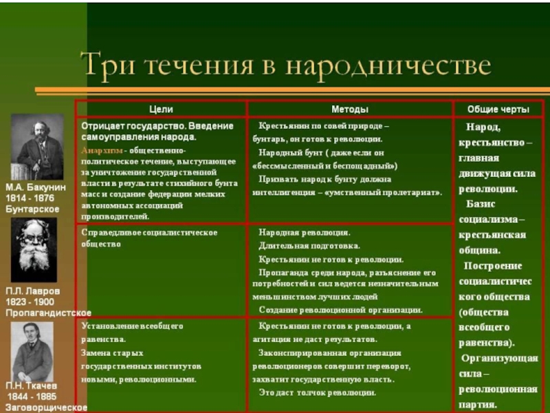 Презентация террор народников цели результаты отношение современников