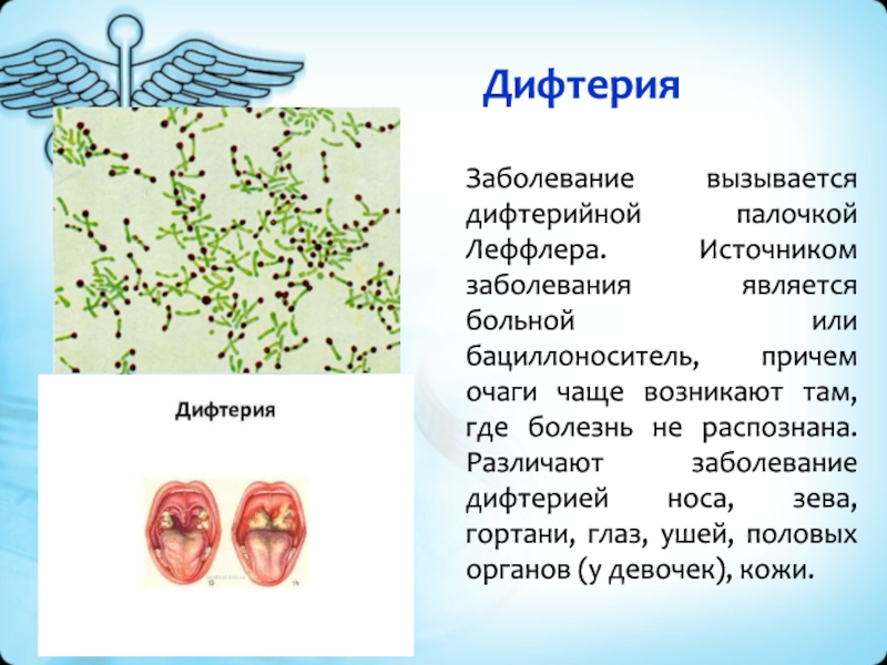 Возбудителя дифтерия возможна