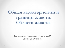 Общая характеристика и границы живота. Области живота