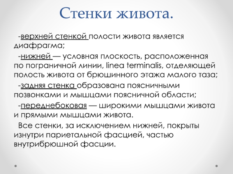 Живот стенки полости живота. Общая характеристика живота. Определение живота стенки полости. Дайте определение живота стенки полости живота.