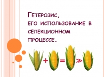 Гетерозис, его использование в селекционном процессе
