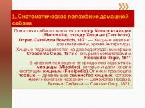 1. Систематическое положение домашней собаки