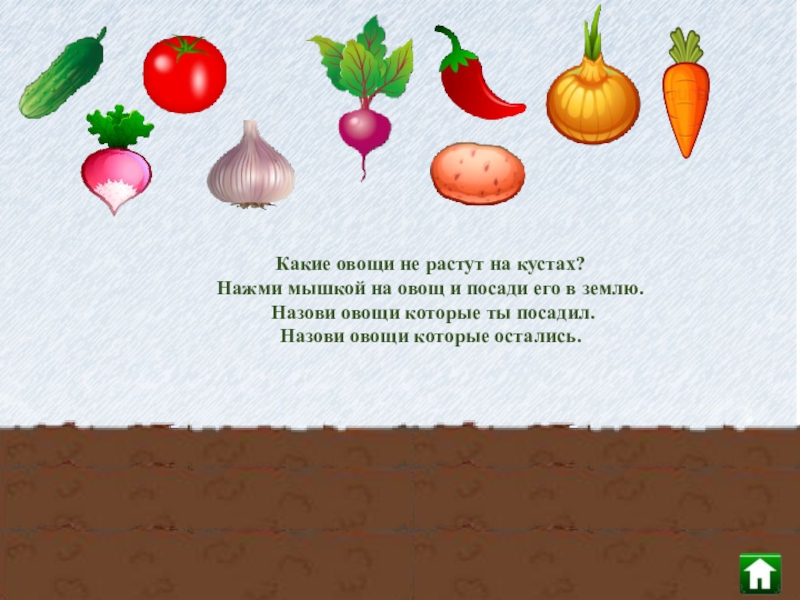 Игра называется овощи. Овощи картинки для презентации. Овощи с которыми знакомят детей. Какие овощи растут на земле а какие в земле для детей. Скажи как растут овощи на земле и в землей игра.