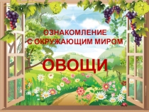 ОЗНАКОМЛЕНИЕ
С ОКРУЖАЮЩИМ МИРОМ
ОВОЩИ