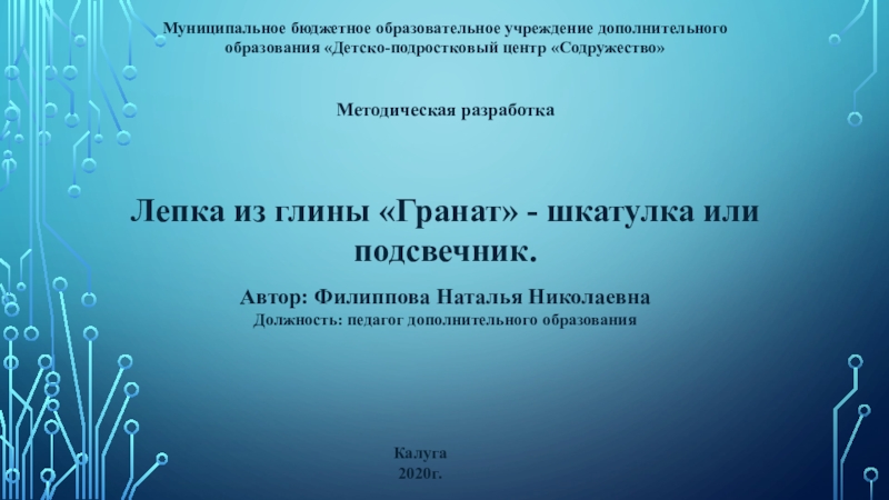 Муниципальное бюджетное образовательное учреждение дополнительного образования