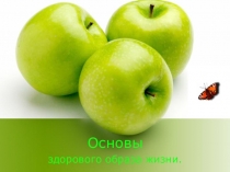 Основы