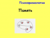 Психофизиология