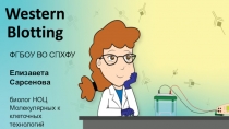 Western Blotting