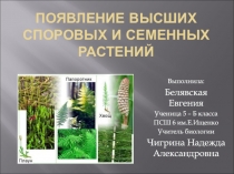 Появление высших споровых и семенных растений