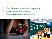 Особенности высшей нервной деятельности человека. Познавательные процессы