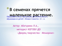 В семенах прячется маленькое растение