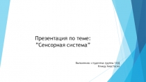 Презентация по теме: ” Сенсорная система ”