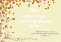Лес Типы, виды, классификация лесов