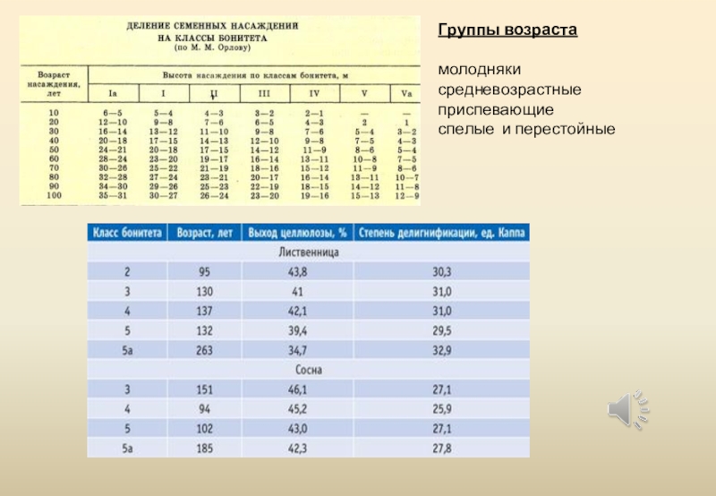 Индекс лесная 2