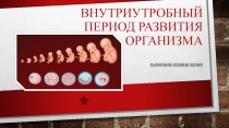 Внутриутробный период развития организма